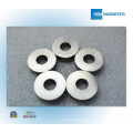 China ISO/Ts 16949 Certificated Ring Magnet